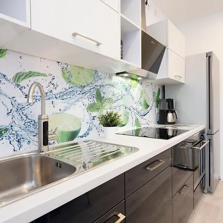 公寓 Rosenstrasse 27 Merlin 马兰迪